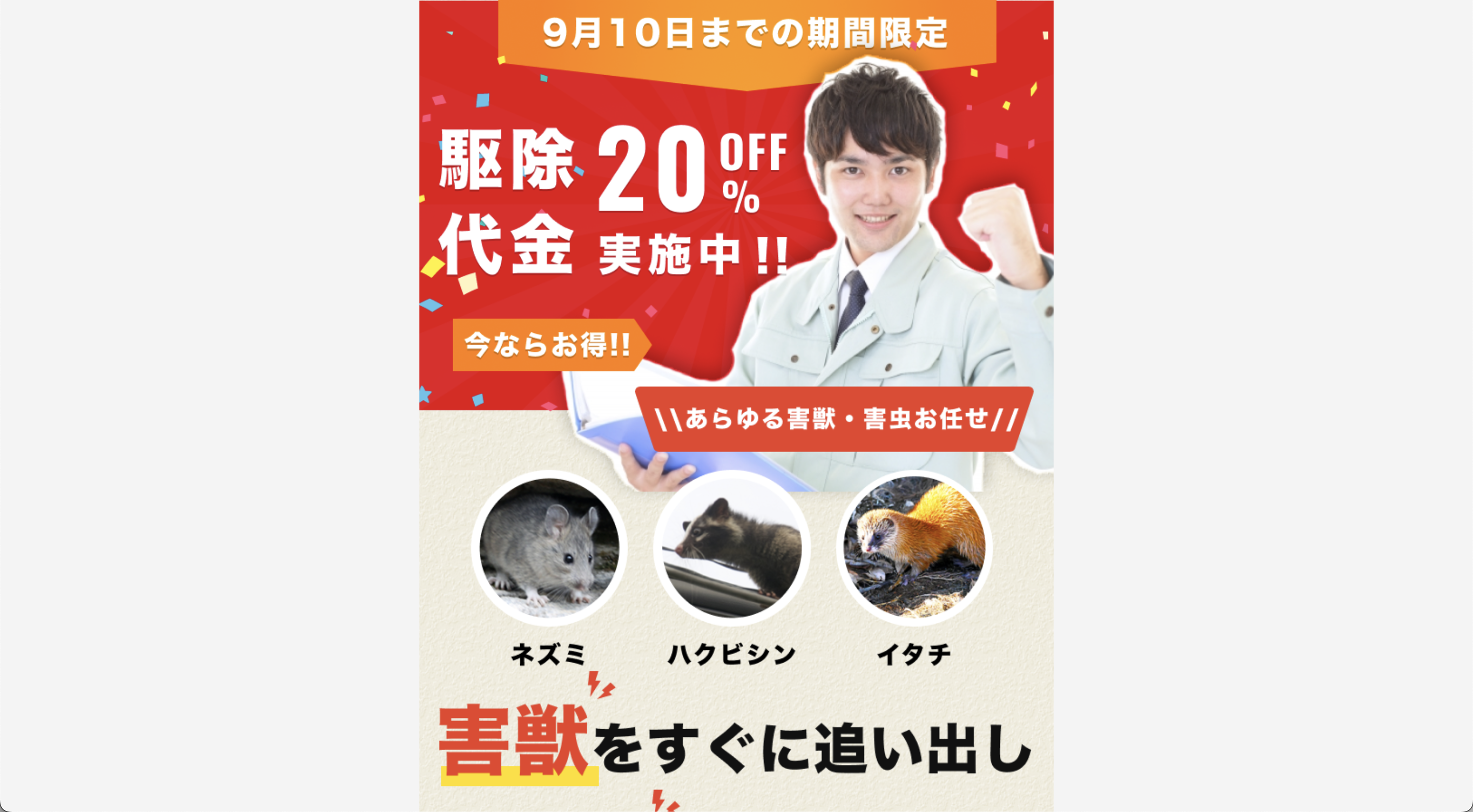 【口コミ】街角害獣駆除相談所の評判・料金!